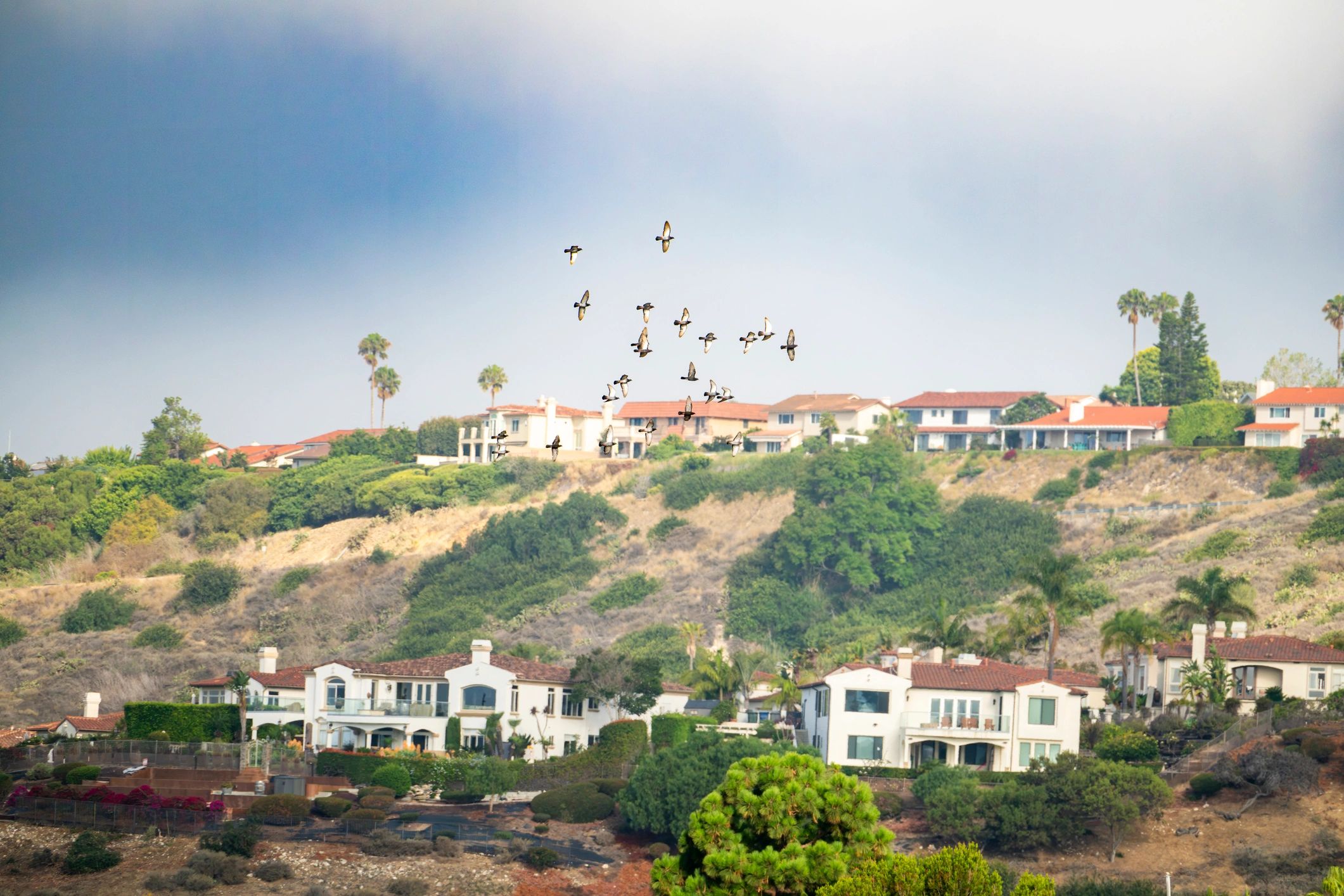 Luxury hillside homes representing premium property opportunities